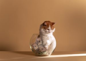 Eine Katze in einer Glasschüssel voller Geld